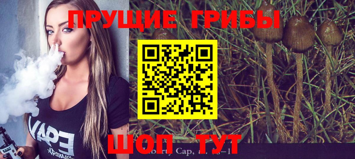 Евпатория  Галлюциногенные грибы GOLDEN TEACHER  Вход с VPN  Псилоцибиновые грибы Psilocybe 