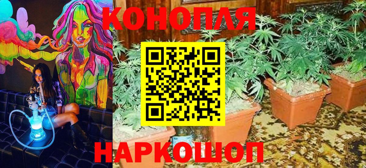 Бошки Шишки индика Евпатория